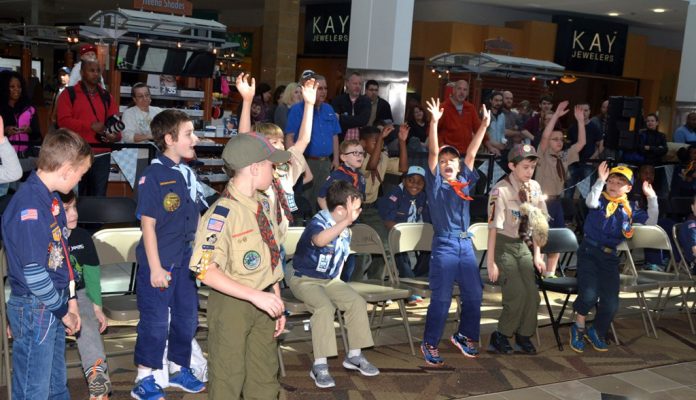 2017 District Pinewood Derby
